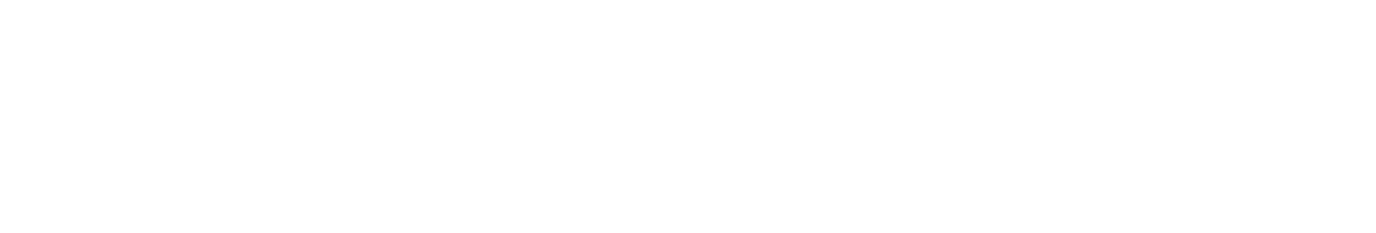Brinkmann & Partner